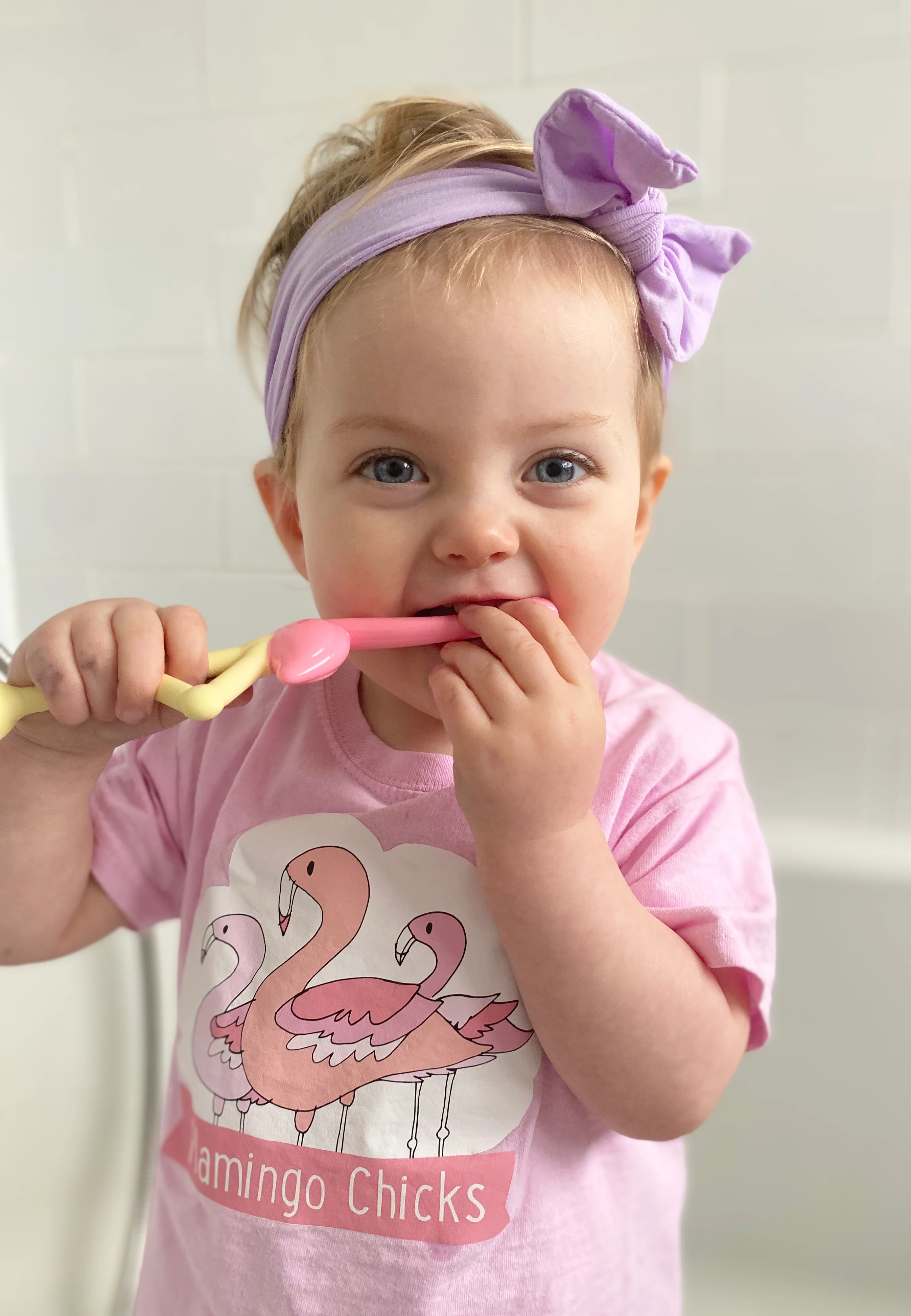 Dr Brown's Flamingo Toddler Toothbrush - Image 3
