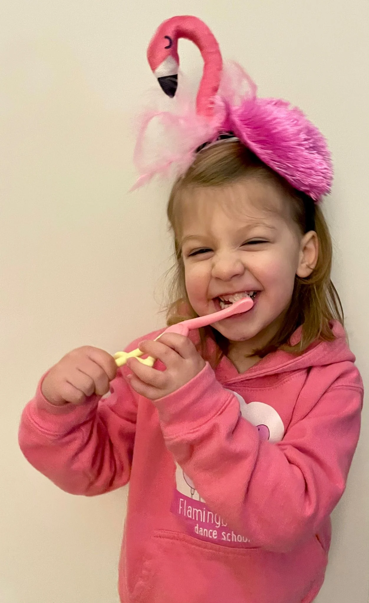 Dr Brown's Flamingo Toddler Toothbrush - Image 5
