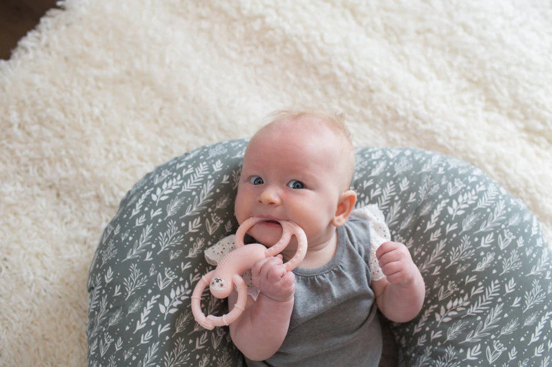 Dr Brown's Flexees Sloth Teether - Pink - Image 3